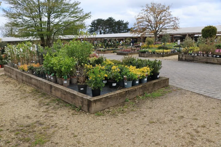 Entretien d'un jardin par Les Jardins d'Emeraude
