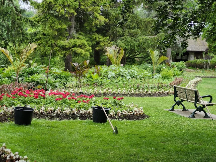 Jardin amenage par Les Jardins d'Emeraude a Montpellier